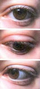 Une image contenant gros plan, cil, organe, Iris
Le contenu généré par l’IA peut être incorrect.