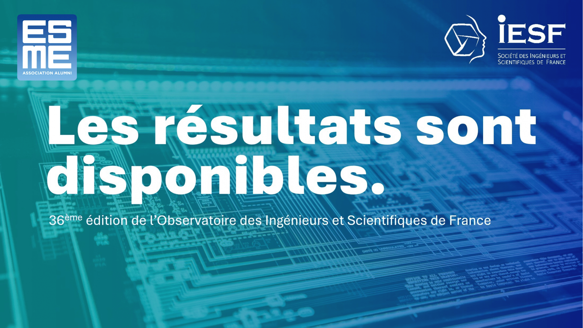 Résultats Enquête IESF 2025