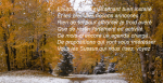 NEWSLETTER de novembre 2017